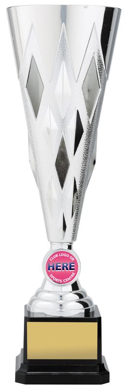 Diamond Trophy 290mm
